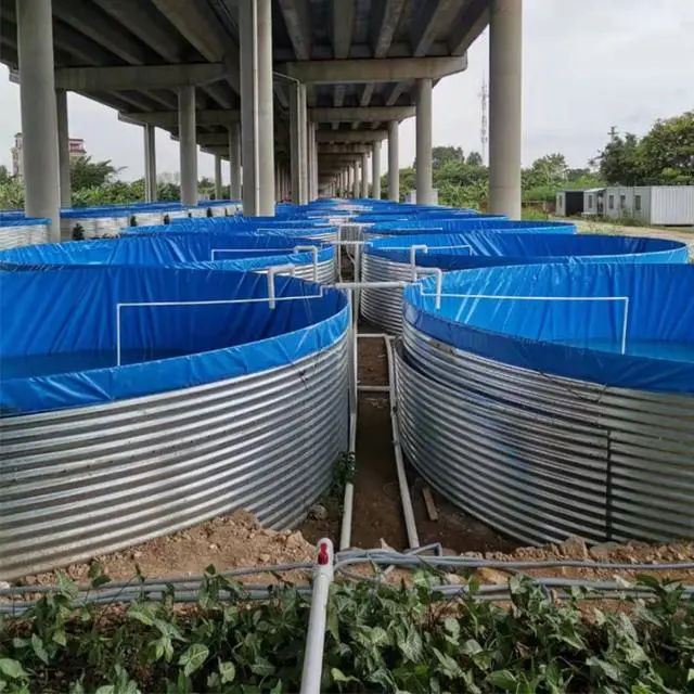 帆布池养虾视频_致富经帆布鱼池养虾_致富虾养帆布鱼池怎么养