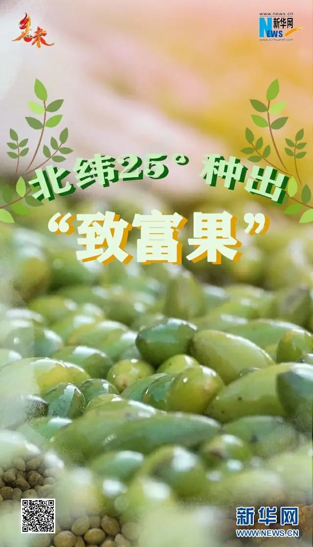农业种植致富果_农民种植致富_农业种植致富网