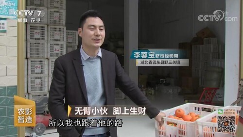 百年难见极品蝈蝈叫声_极品视频致富蝈蝈在线播放_致富经我的极品蝈蝈视频