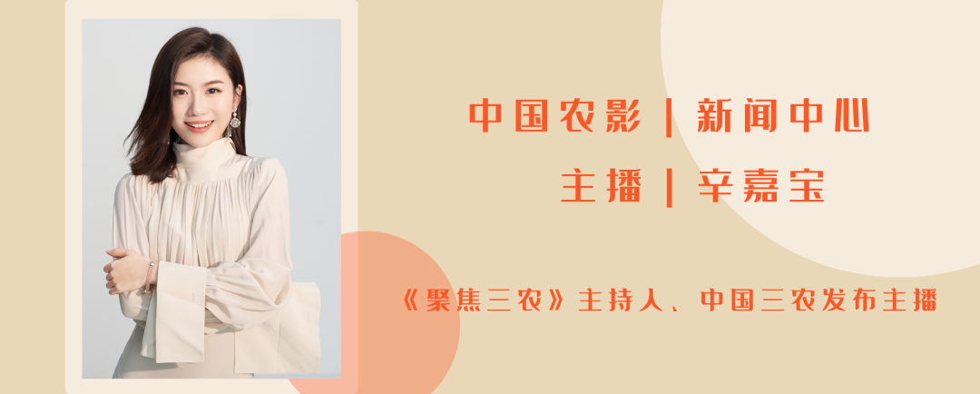 基围虾的养殖成本和条件_基围虾养殖视频教程_基围虾的养殖技术视频
