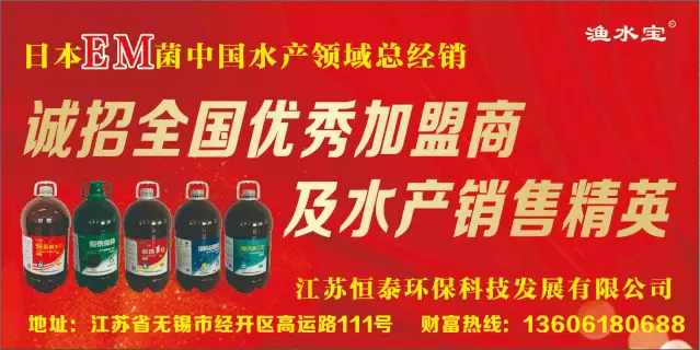 新增养殖收入超2000元/亩！太湖沙塘鳢苗种规模化繁育及健康养殖技术研究