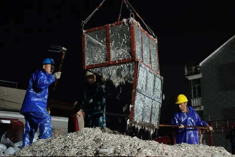 昂刺鱼人工养殖_养殖昂刺鱼一亩地利润_昂刺鱼养殖技术视频
