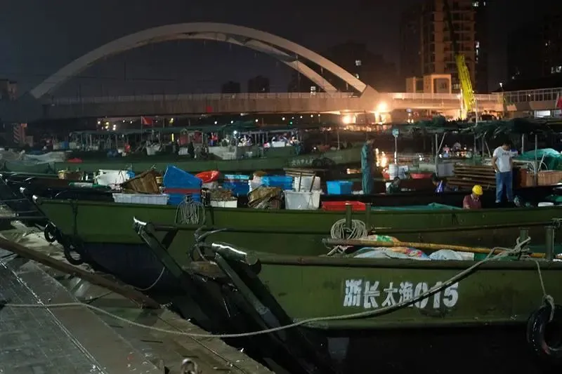 养殖昂刺鱼一亩地利润_昂刺鱼养殖技术视频_昂刺鱼人工养殖