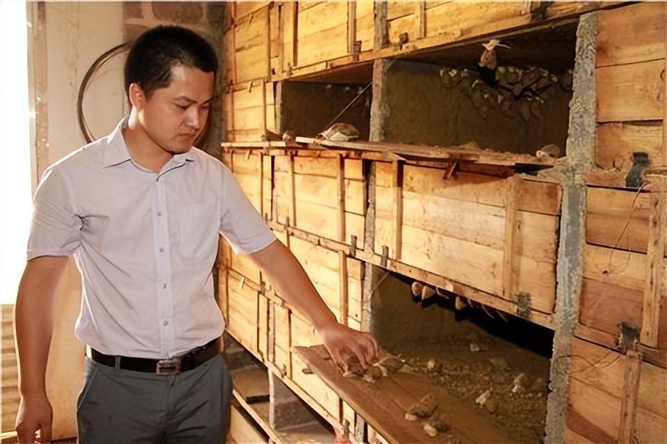 致富蜗牛养殖模式怎么样_蜗牛养殖致富模式_致富蜗牛养殖模式是什么