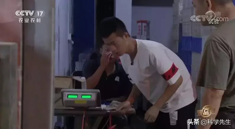 青蛙养殖致富吗_青蛙养殖致富吗_青蛙养殖致富吗