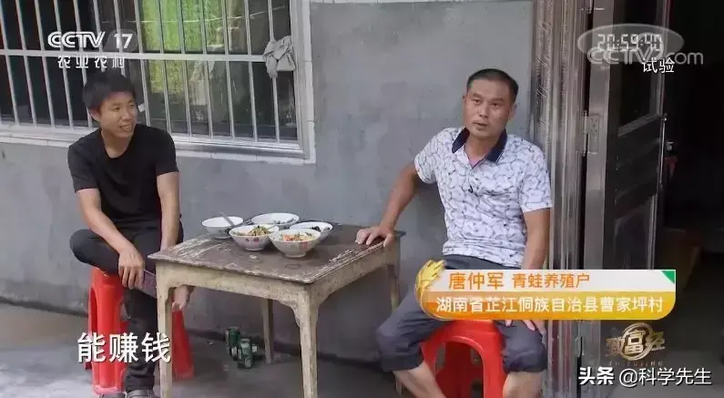 青蛙养殖致富吗_青蛙养殖致富吗_青蛙养殖致富吗