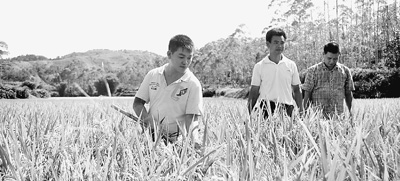 青春派·80后的创业人生①：一个新农民的“有机农场梦”