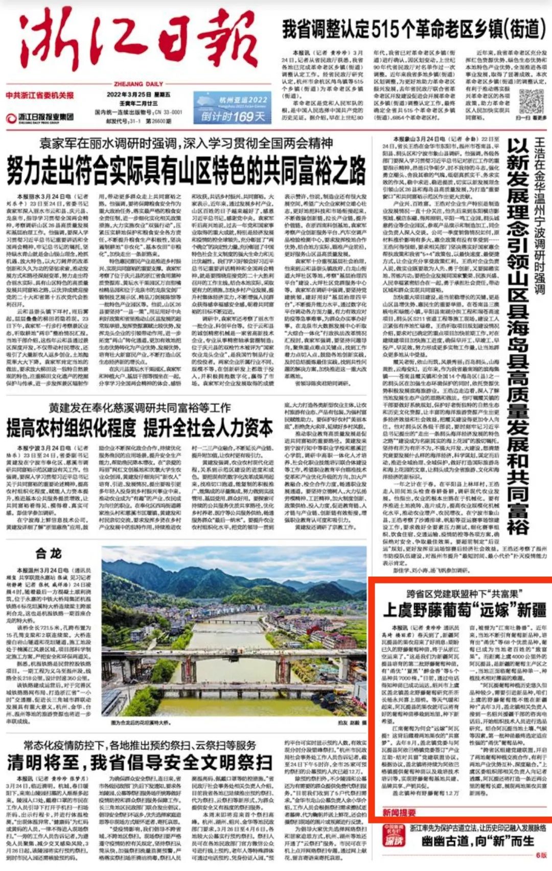 野生葡萄种植技术_野葡萄怎么种_野葡萄种植技术