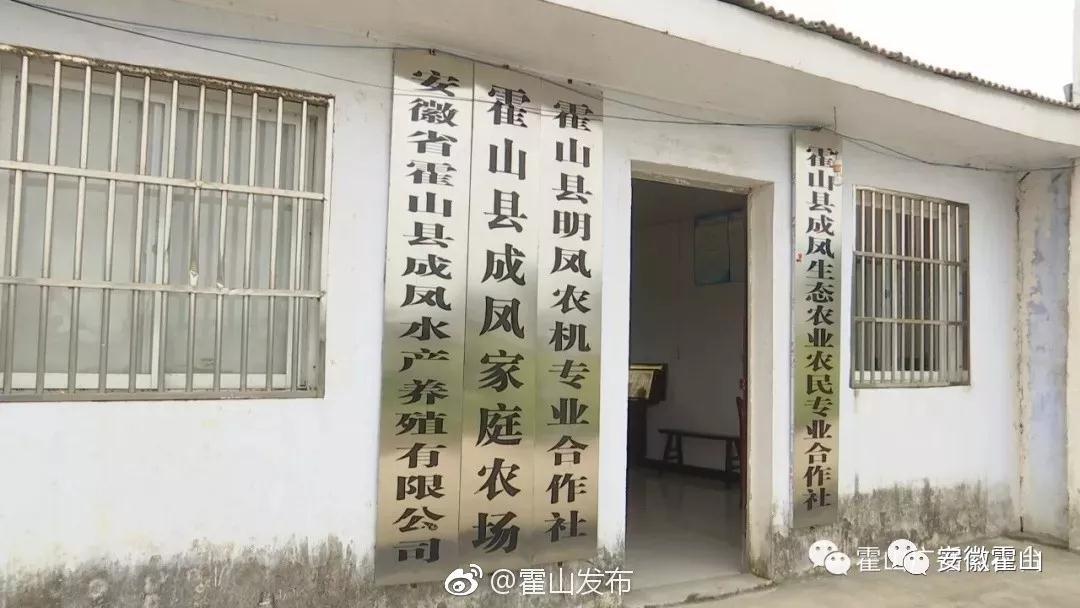致富虾稻田养殖视频_致富经 稻田养虾_稻田养殖虾
