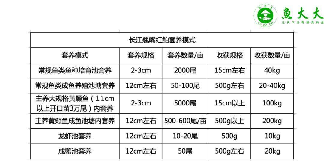养殖养白鱼技术视频_养殖养白鱼技术要求_养白鱼的养殖技术