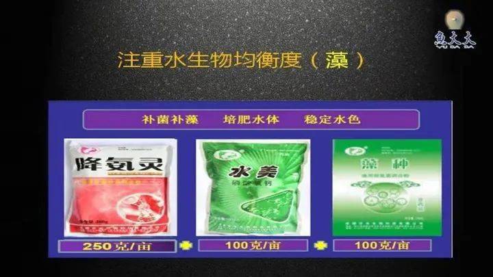 养殖养白鱼技术要求_养白鱼的养殖技术_养殖养白鱼技术视频
