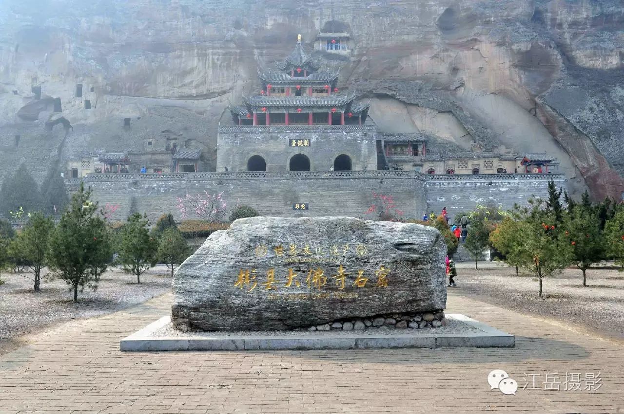 种植致富故事_种植苹果致富事迹_种植苹果致富的人