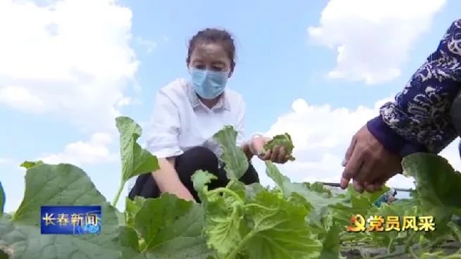 种植花卉赚钱_养花致富_种植花卉能致富吗知乎