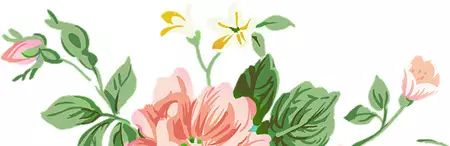种植花卉能致富吗知乎_养花致富前景怎样_养花致富
