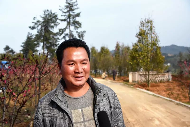 养花致富前景怎样_养花致富_种植花卉能致富吗知乎