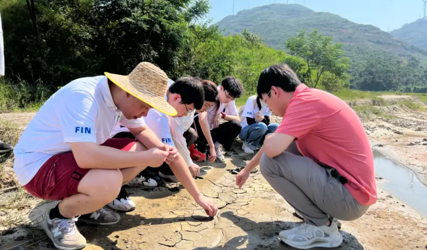 福寿螺案例_福寿螺的利用价值_致富经福寿螺