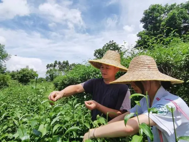 福寿螺案例_致富经福寿螺_福寿螺的利用价值
