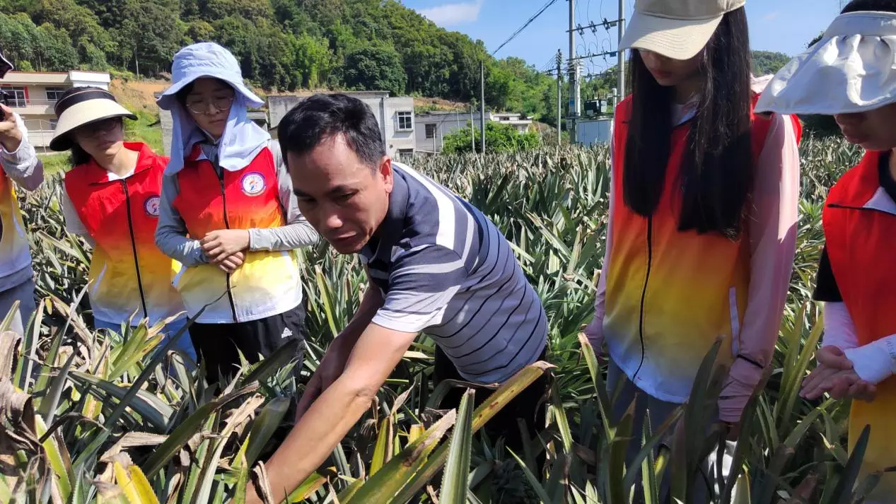 福寿螺的利用价值_致富经福寿螺_福寿螺案例