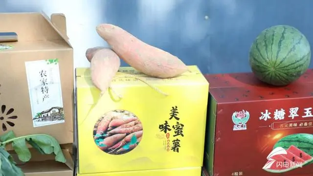 农村致富新项目种植业_特色种植致富新路_新致富项目种植