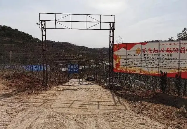 鹅的养殖利润怎么样_养鹅致富经_养殖鹅致富