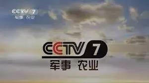 农业节目致富经养殖鸡视频_农视网致富经养殖鸡_农村致富网养殖业养鸡