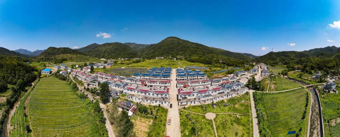 蛇瓜种植致富_致富种植蛇瓜图片_蛇瓜种植视频