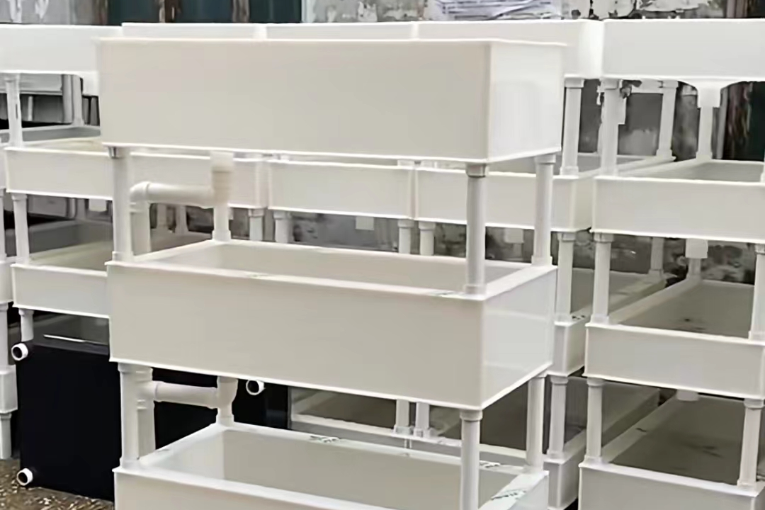 龙虾养殖冬天怎么过冬_龙虾冬天温室养殖技术_龙虾冬季养殖技术
