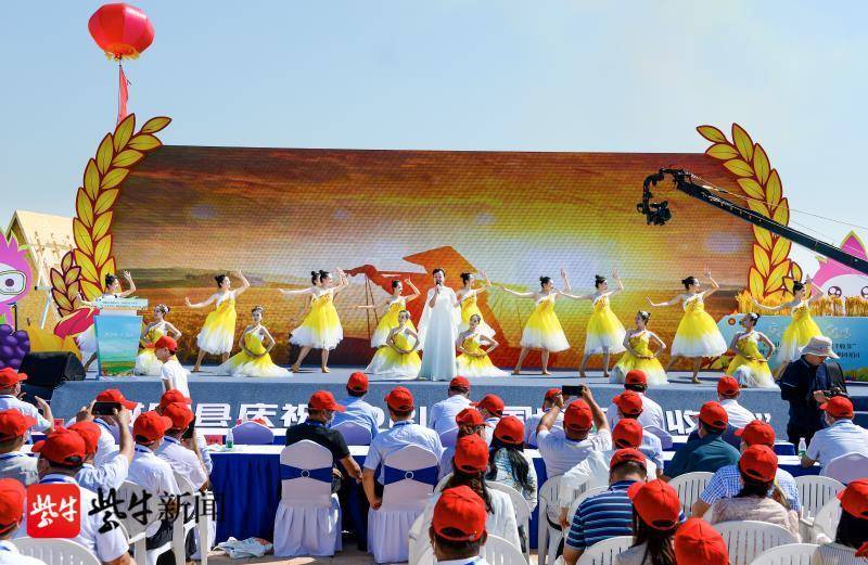射阳县海河镇：庆丰收 感党恩 四季果香飘四方