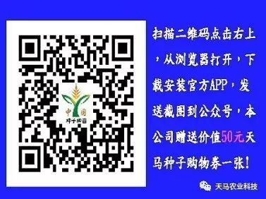 葫芦种植要点_西葫芦种植技术和管理_葫芦种植相关知识