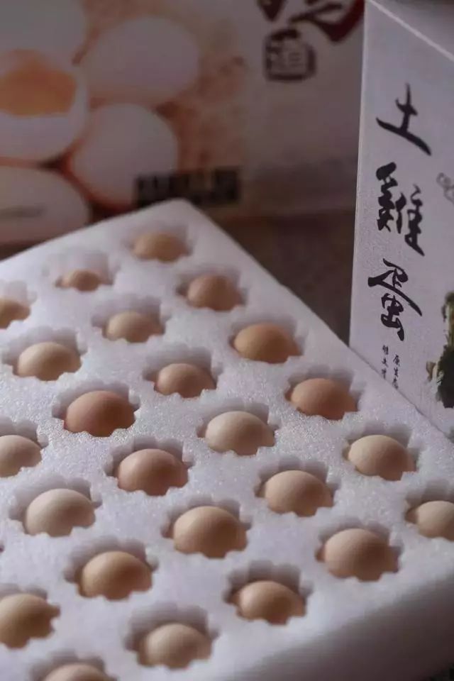 致富休闲农庄名字大全_致富经休闲农庄_农家乐致富