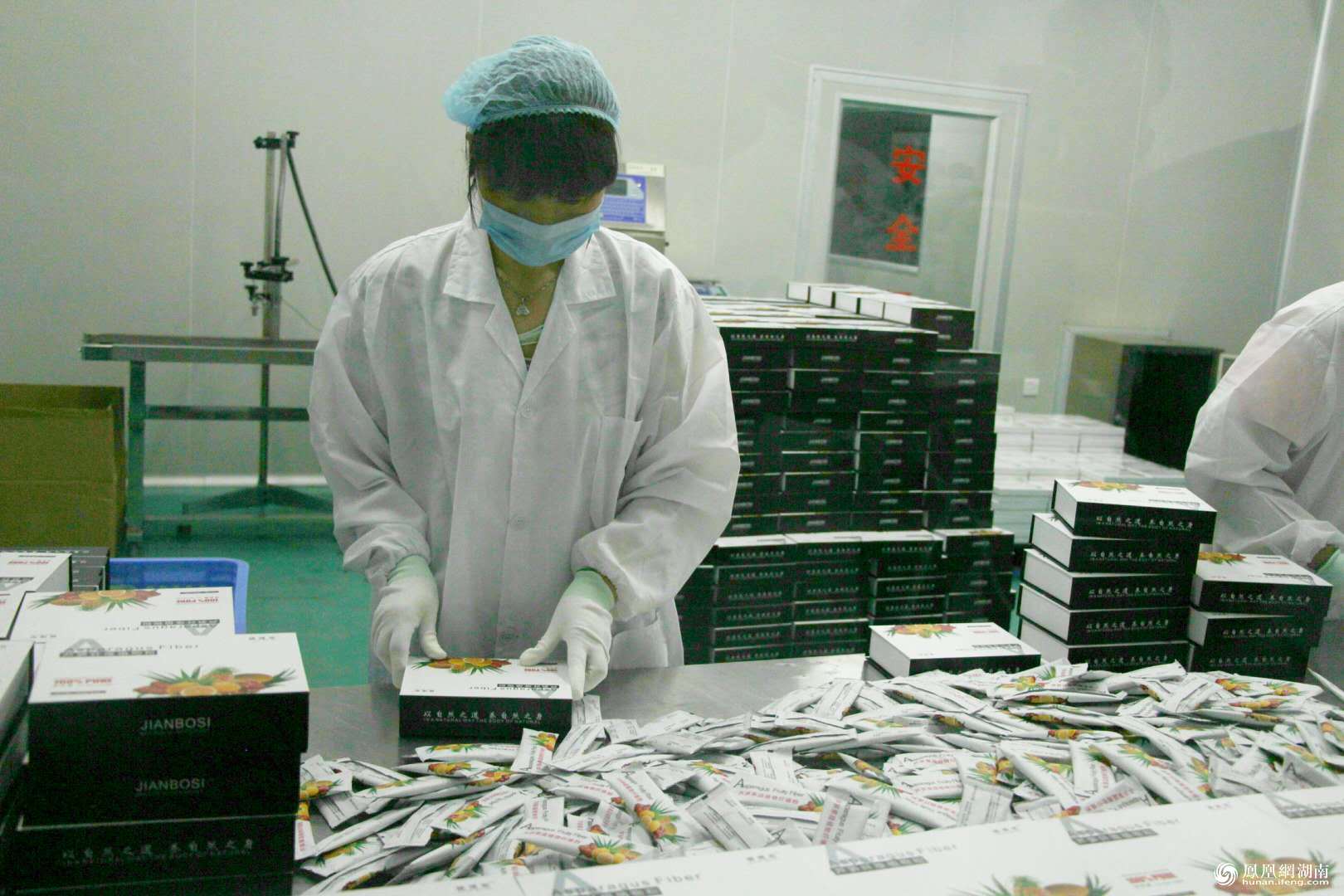 【美丽中国长江行】芦苇加工、稻虾养殖 益阳走出生态农业致富路