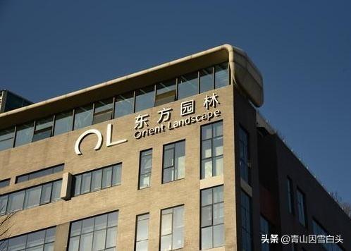 致富种植图片项目怎么做_致富好项目种植_种植致富项目图片