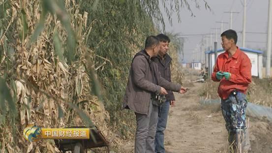 致富经散养白猪_致富经散养黑猪技术_致富猪散养黑技术有哪些