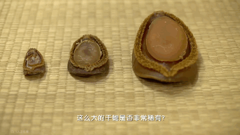 泥鳅养殖技术图片_养殖泥鳅大全_养殖泥鳅图片技术视频