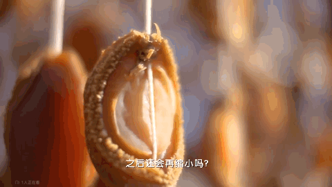 养殖泥鳅图片技术视频_养殖泥鳅大全_泥鳅养殖技术图片
