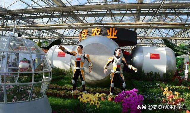 这才是真正的现代农业，太震撼了！