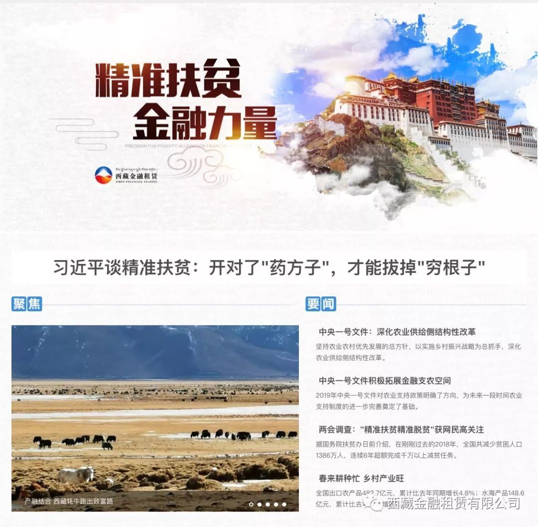【扶贫在行动】产融结合 西藏牦牛跑出致富路