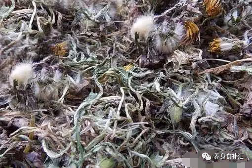 珍珠鸡养殖效益_养殖珍珠鸡的利润和成本_致富经养珍珠鸡