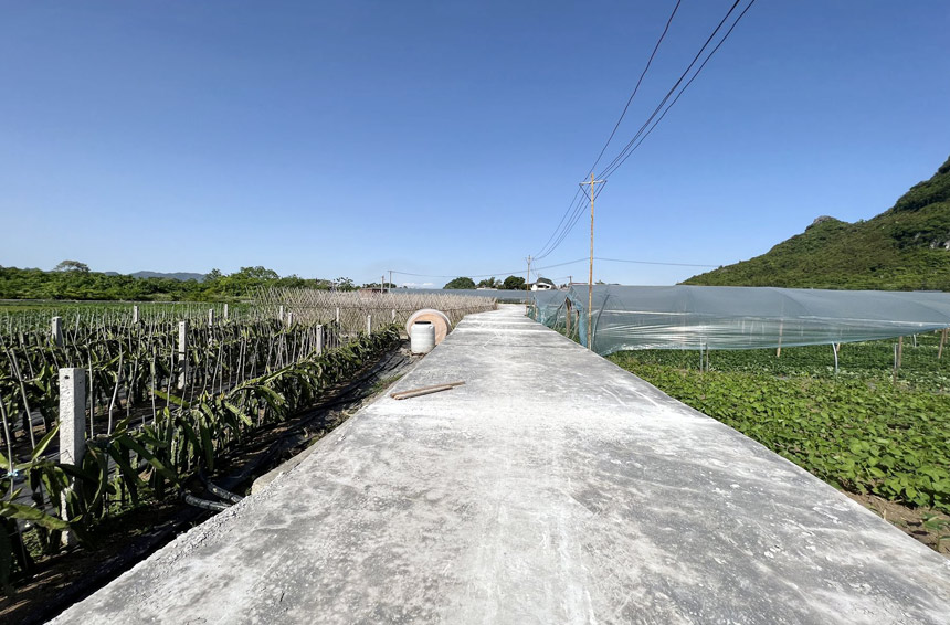 种植致富新门路_种植致富业_致富种植视频全集