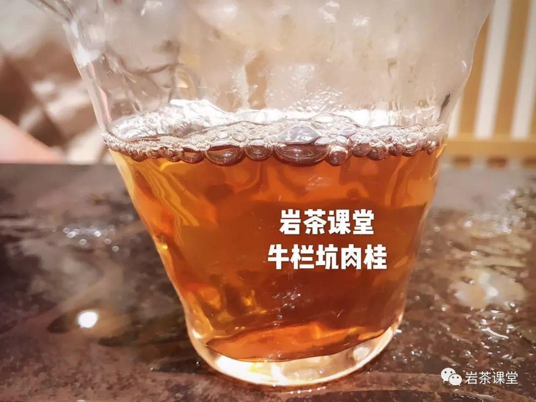 种植白茶的市场前景_白茶怎么种植致富_致富种植白茶好吗