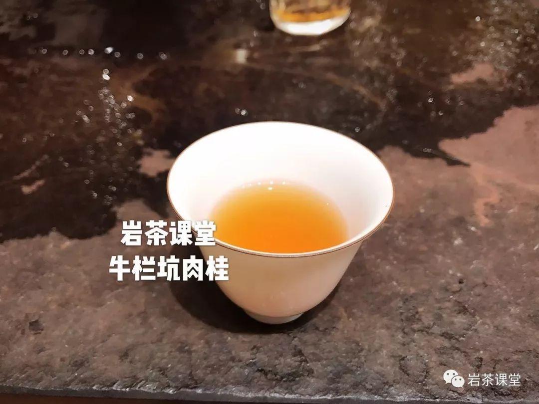 白茶怎么种植致富_致富种植白茶好吗_种植白茶的市场前景