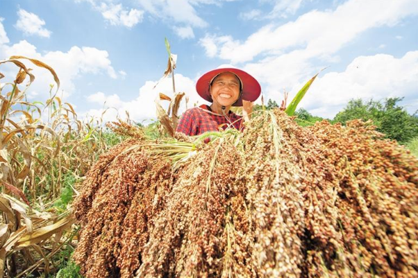 致富种植视频全集_种植致富新门路_致富种植门路新闻联播