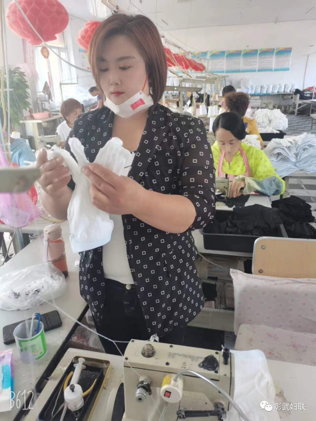 致富经羊冮_致富经羊_致富经羊养殖技术