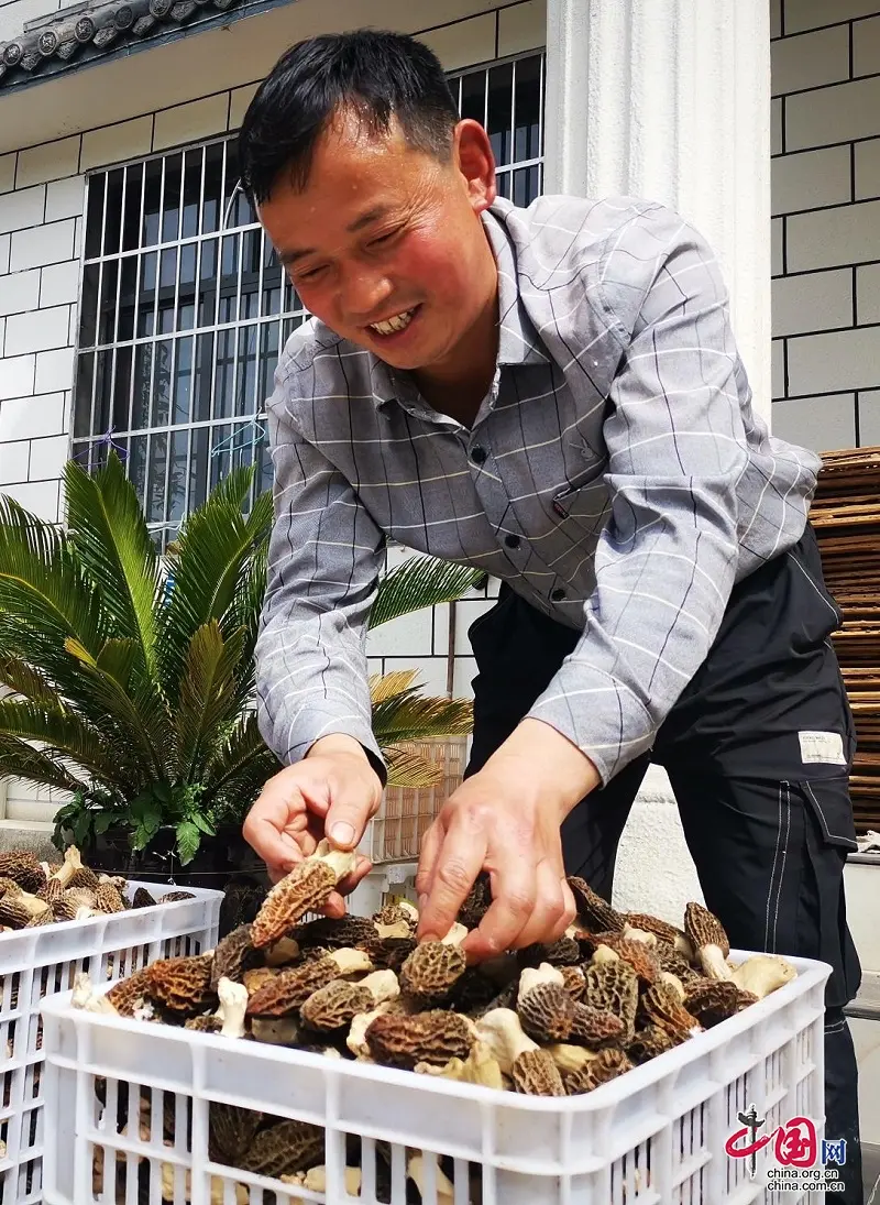 种植致富新门路_种植致富业_致富种植门路新闻联播