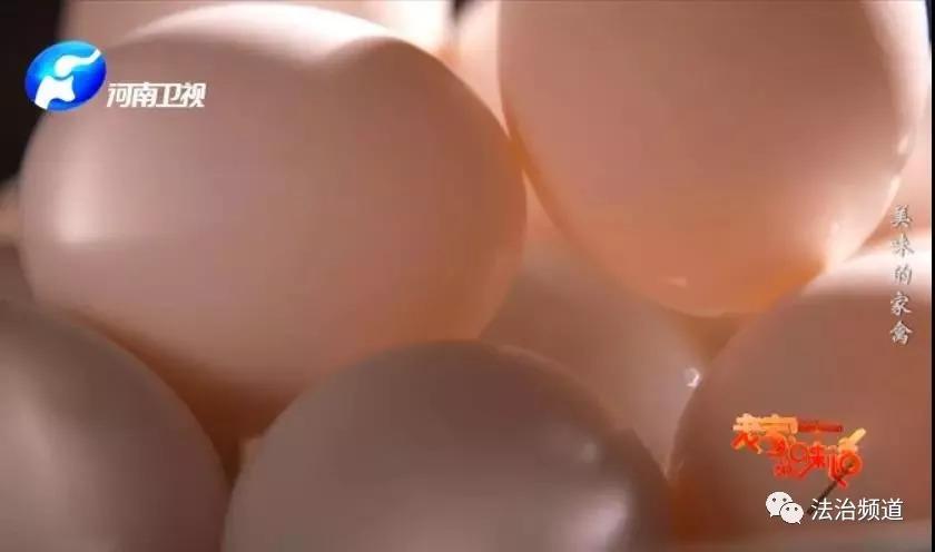 致富经麻鸭怎么过冬_冬季麻鸭养殖技术_农村养麻鸭视频