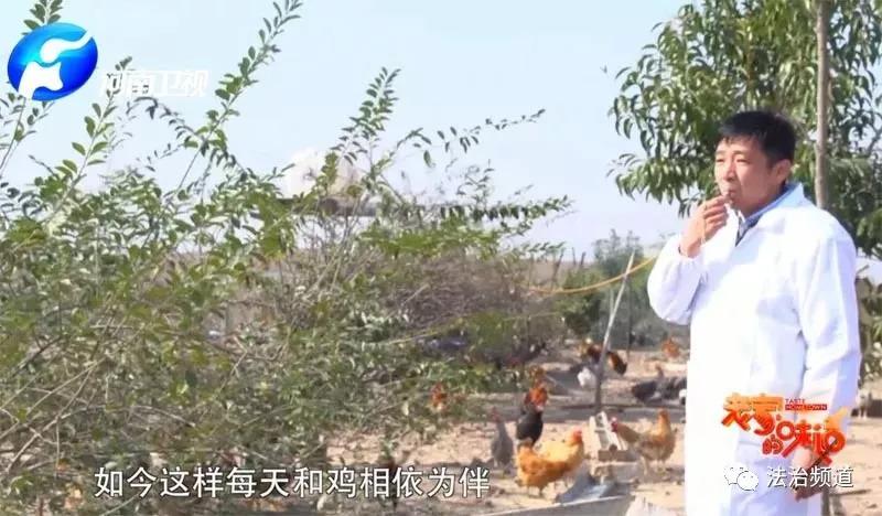 致富经麻鸭怎么过冬_农村养麻鸭视频_冬季麻鸭养殖技术