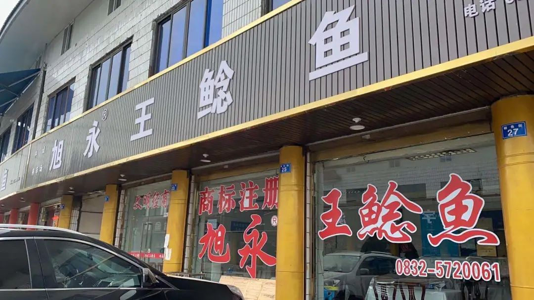 家庭鲶鱼养殖技术_养殖鲶鱼家庭技术大全_养殖鲶鱼视频