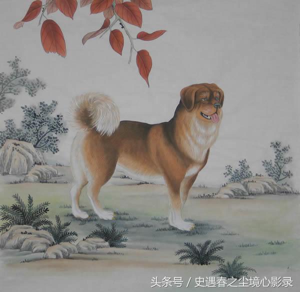 笑说“狂吠犬”：无意侮辱狗狗