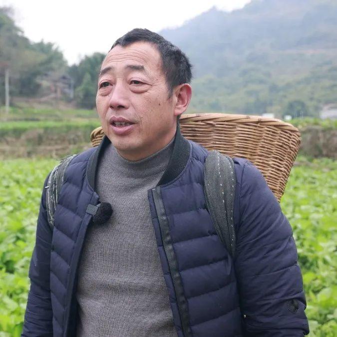 致富经菜市场_致富经卖菜_卖菜致富致富经