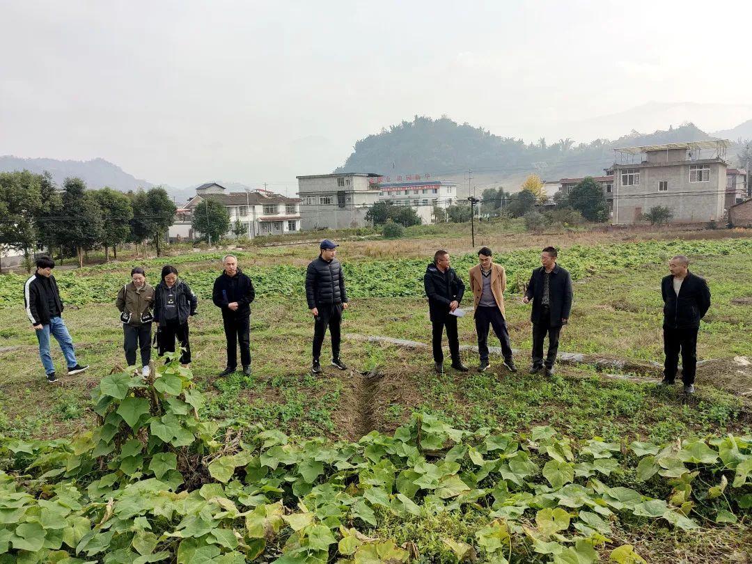 卖菜致富致富经_致富经卖菜_致富经菜市场